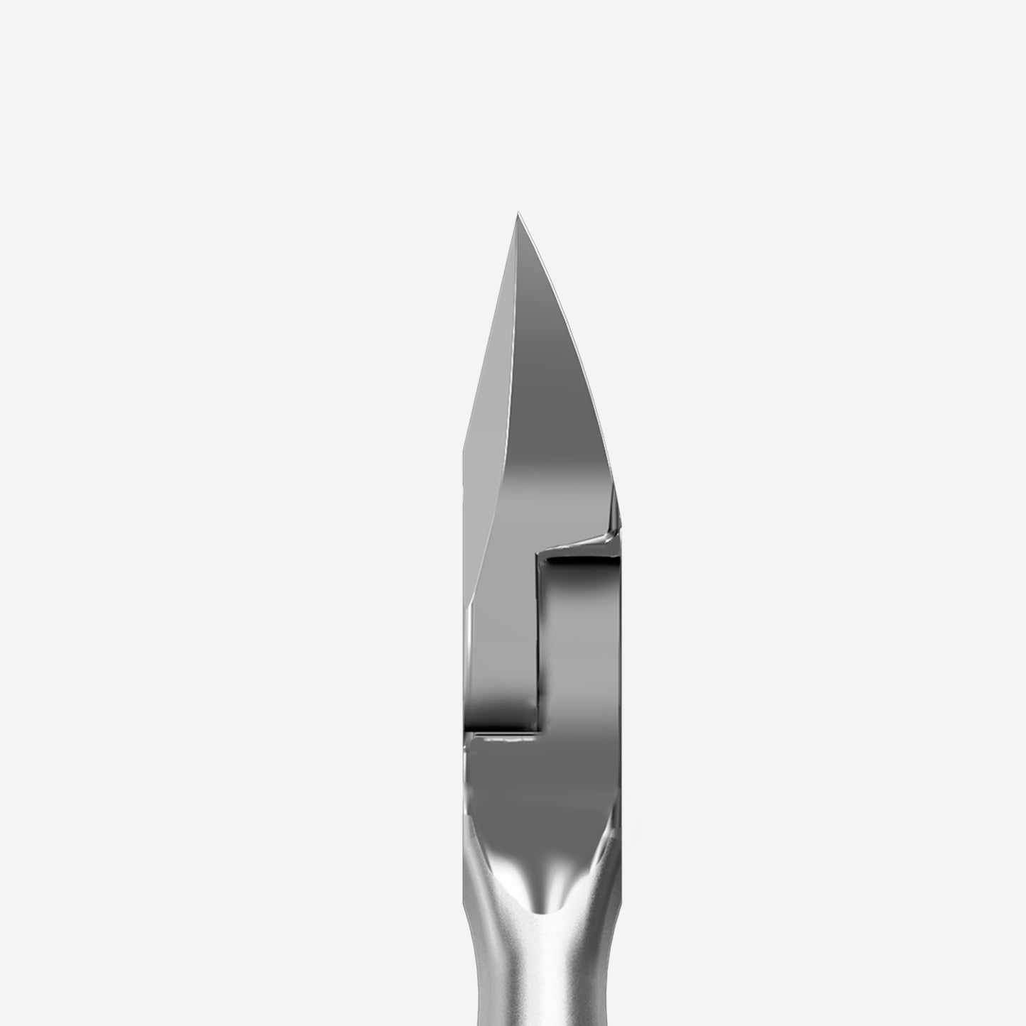 Pince à ongles professionnelle STALEKS PRO SMART 70 NS-70-14 – lames 14 mm