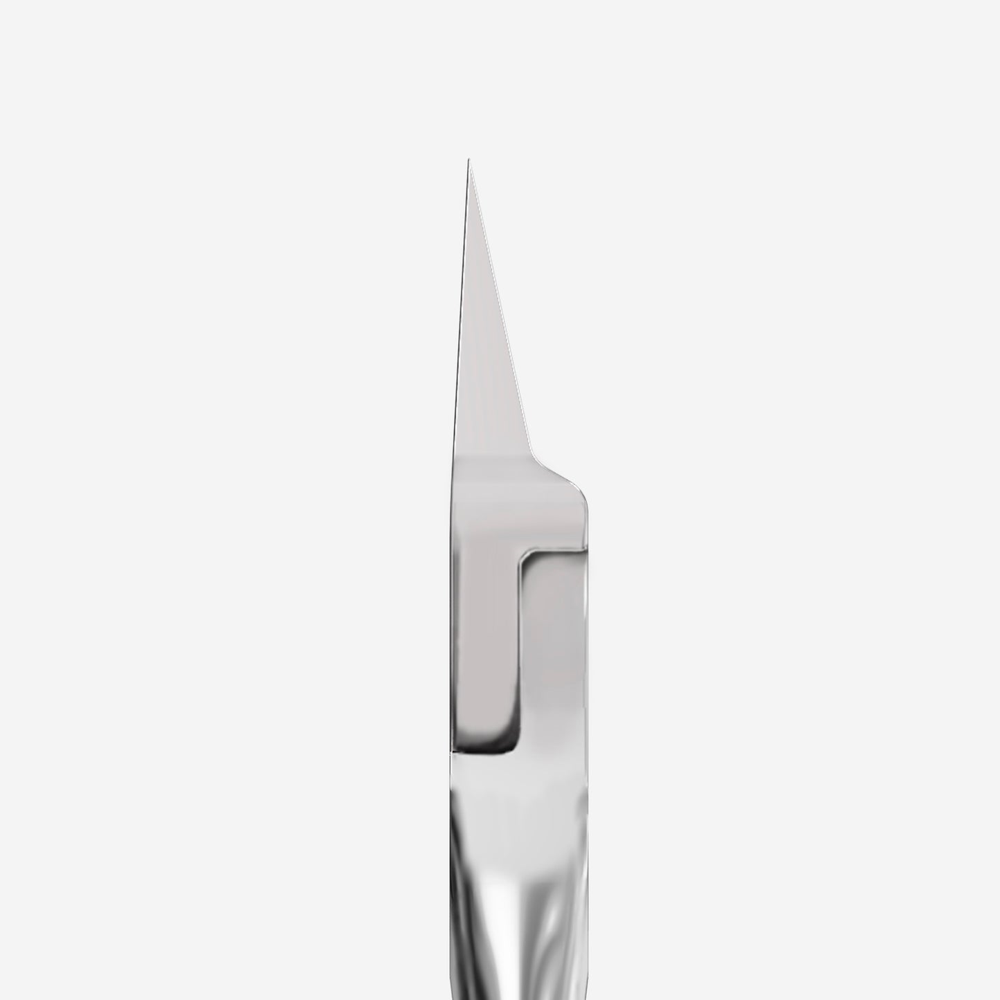 Pince professionnelle pour ongle incarné STALEKS PRO EXPERT 61 NE-61-16 – lames 16 mm